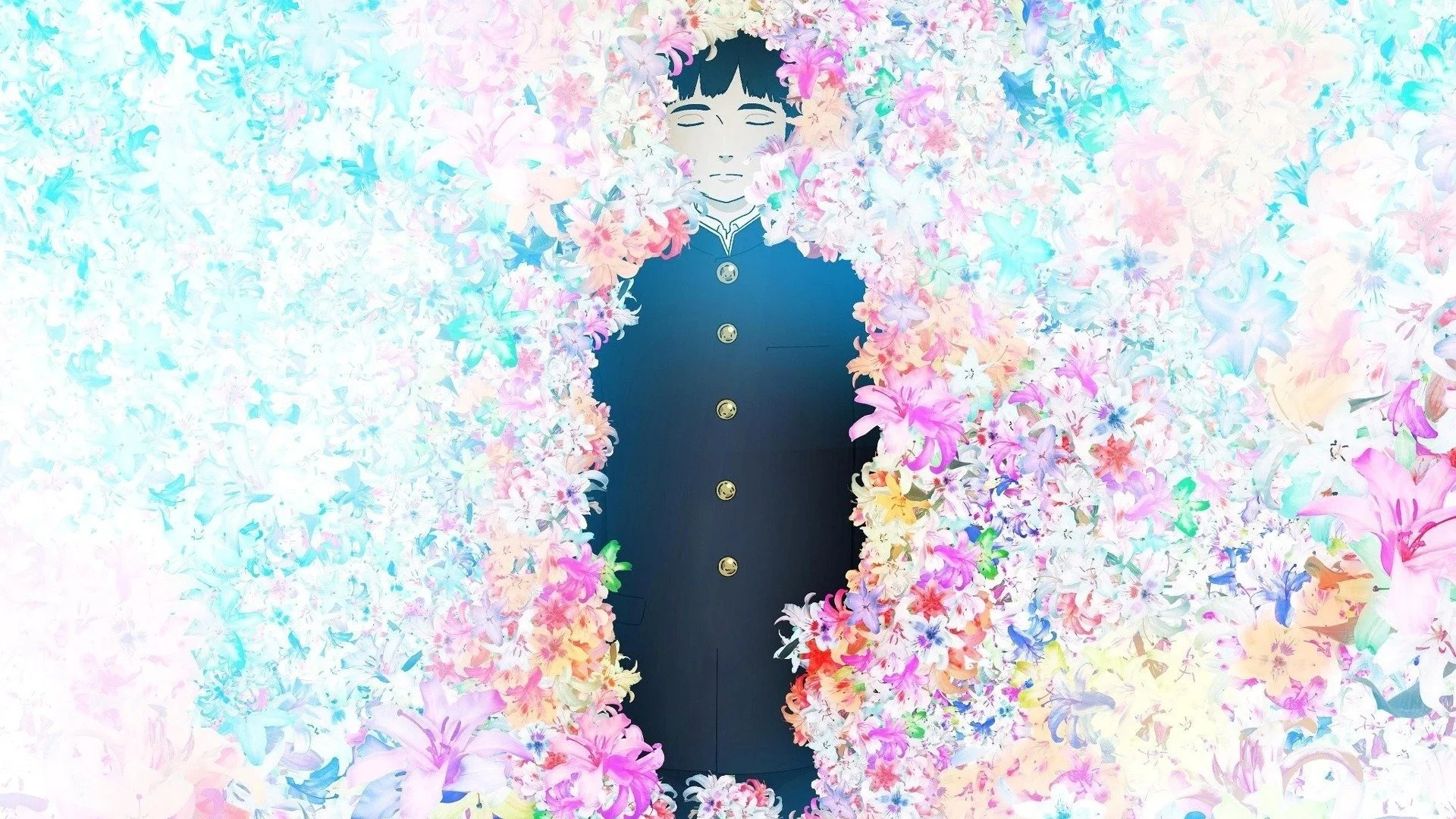 Backdrop de Colorful