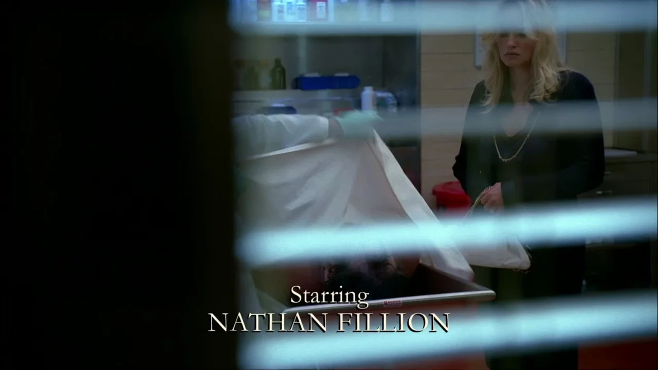 Magic Gift of the Snowman