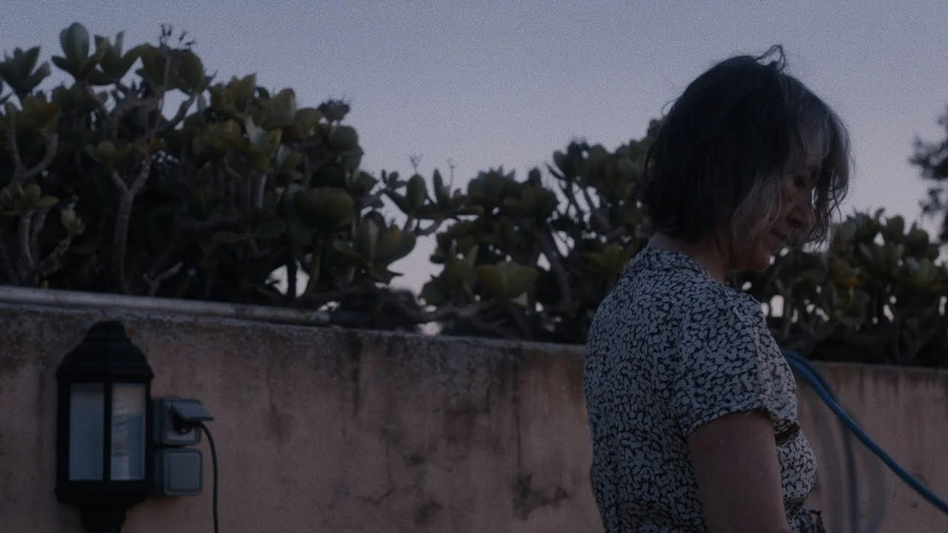 Backdrop de Tal día hizo un año