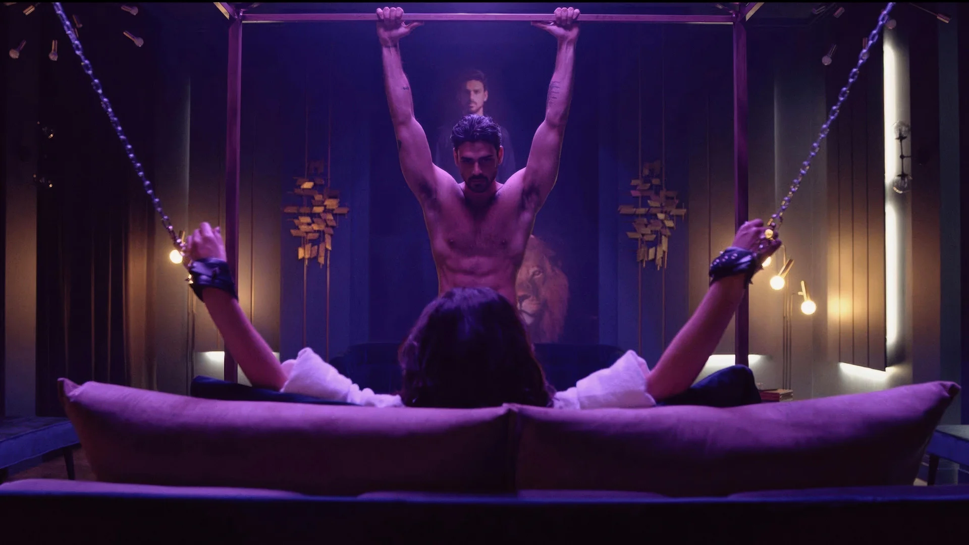 Backdrop de 365 días