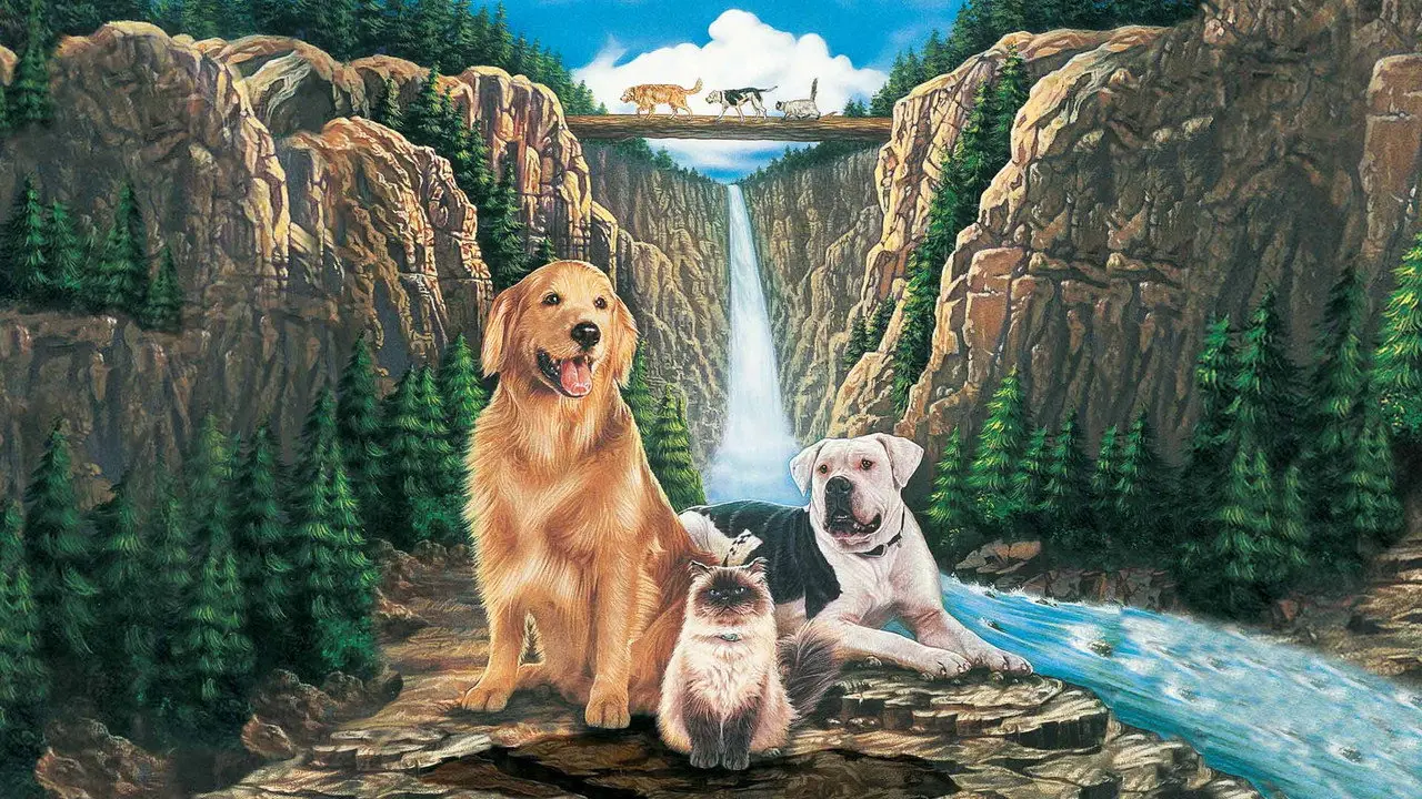 Volviendo a Casa: Un Viaje Increíble