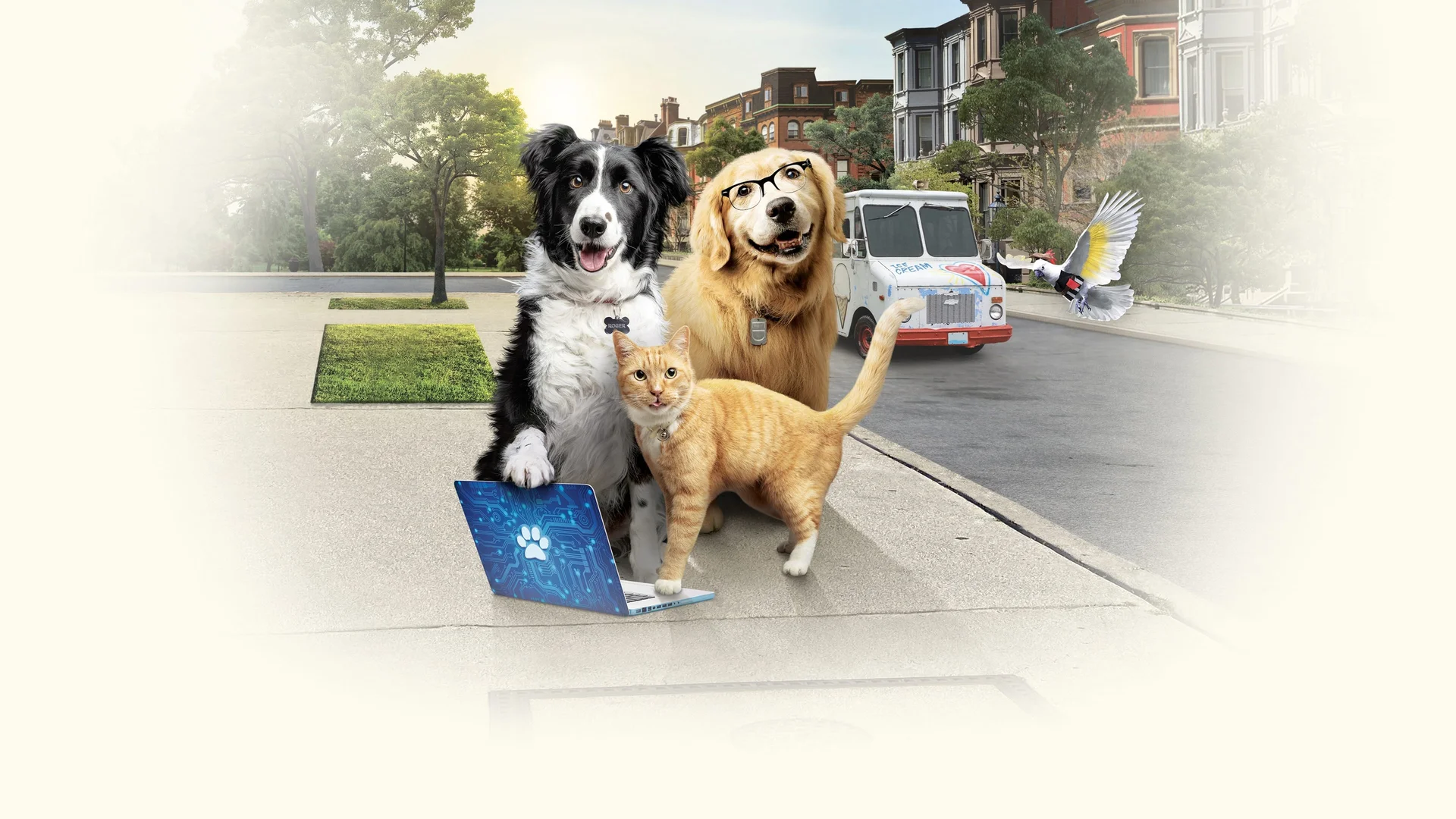 Backdrop de Como perros y gatos 3: Patitas unidas