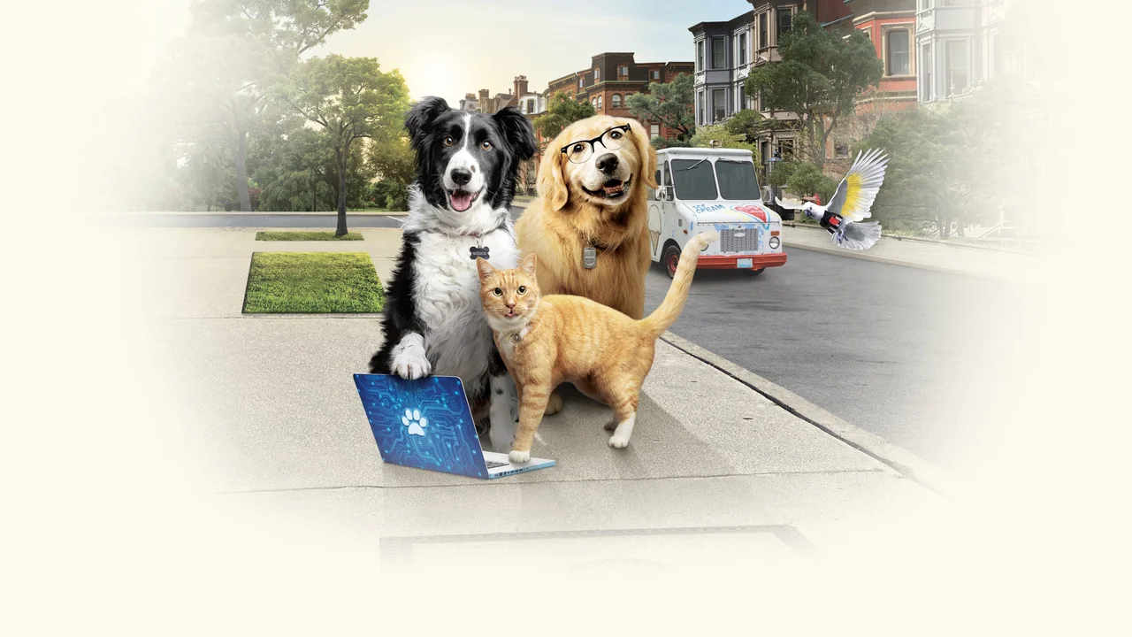 Como perros y gatos 3: Patitas unidas