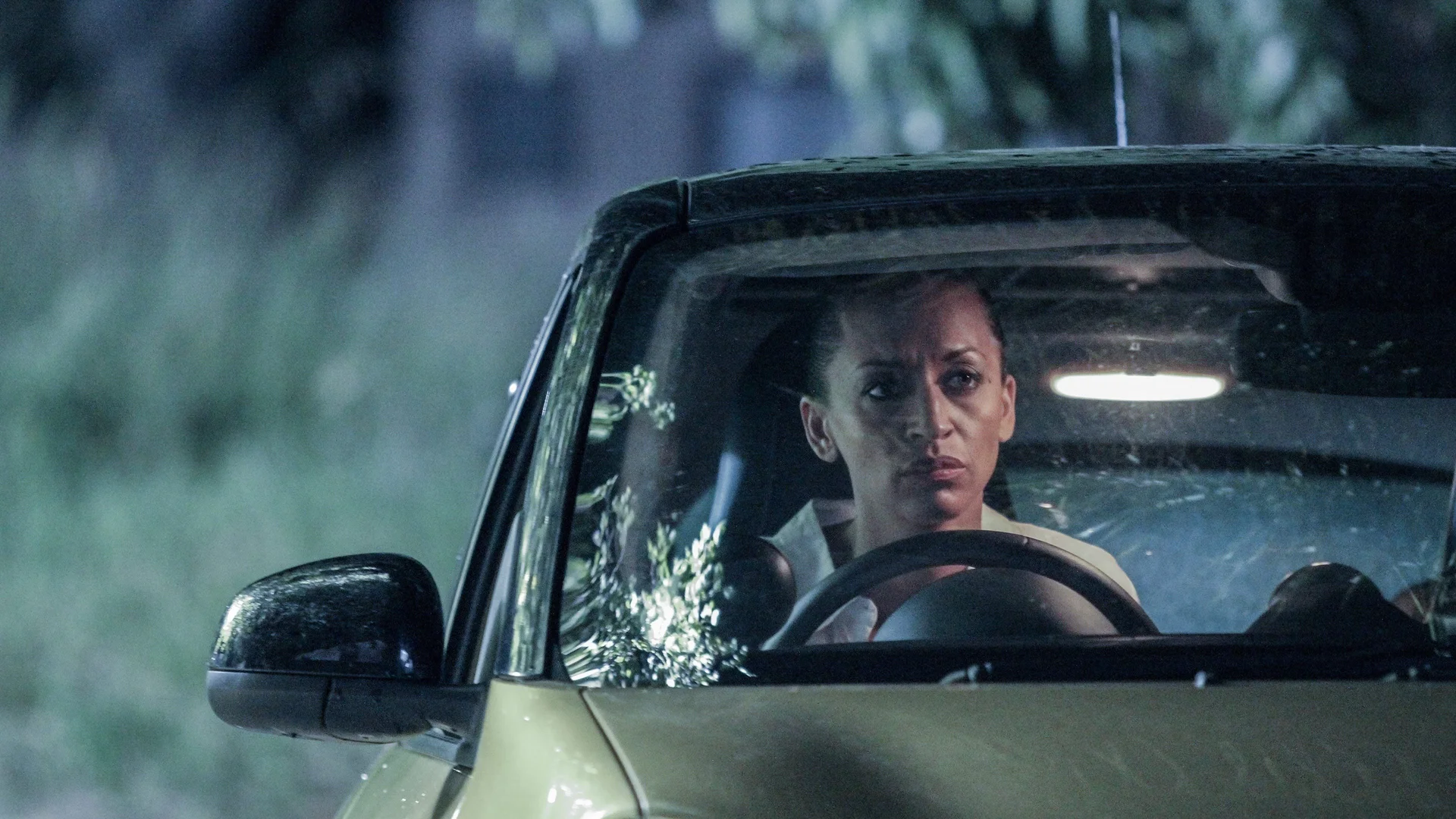 Backdrop de The Last Victims