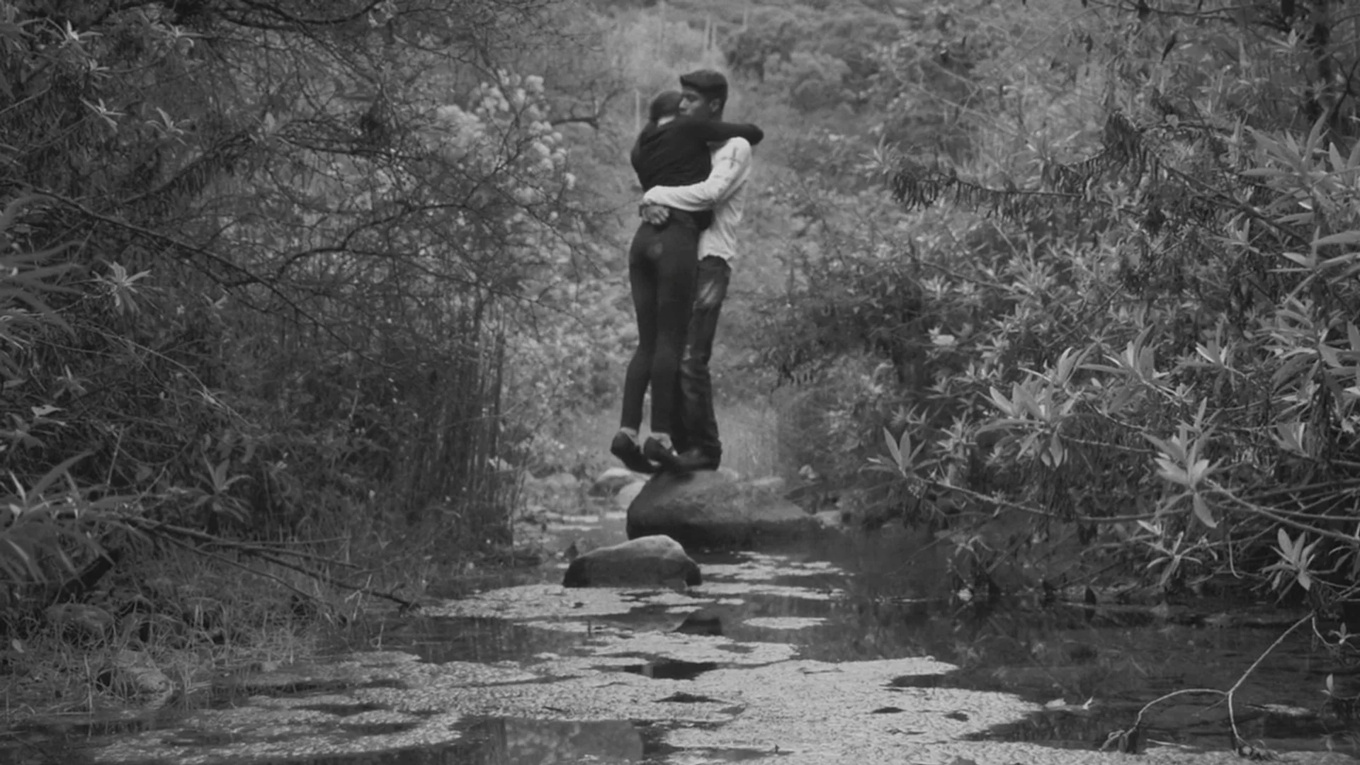 Backdrop de ¡Viva el Pueblo!