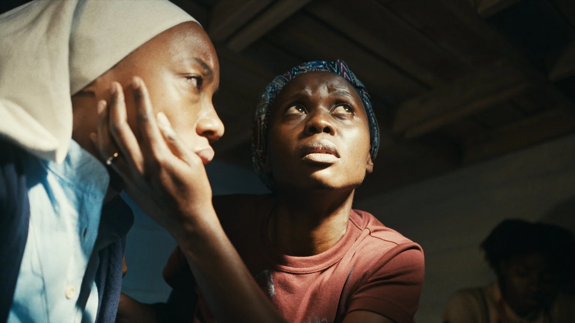 Backdrop de Árboles de paz