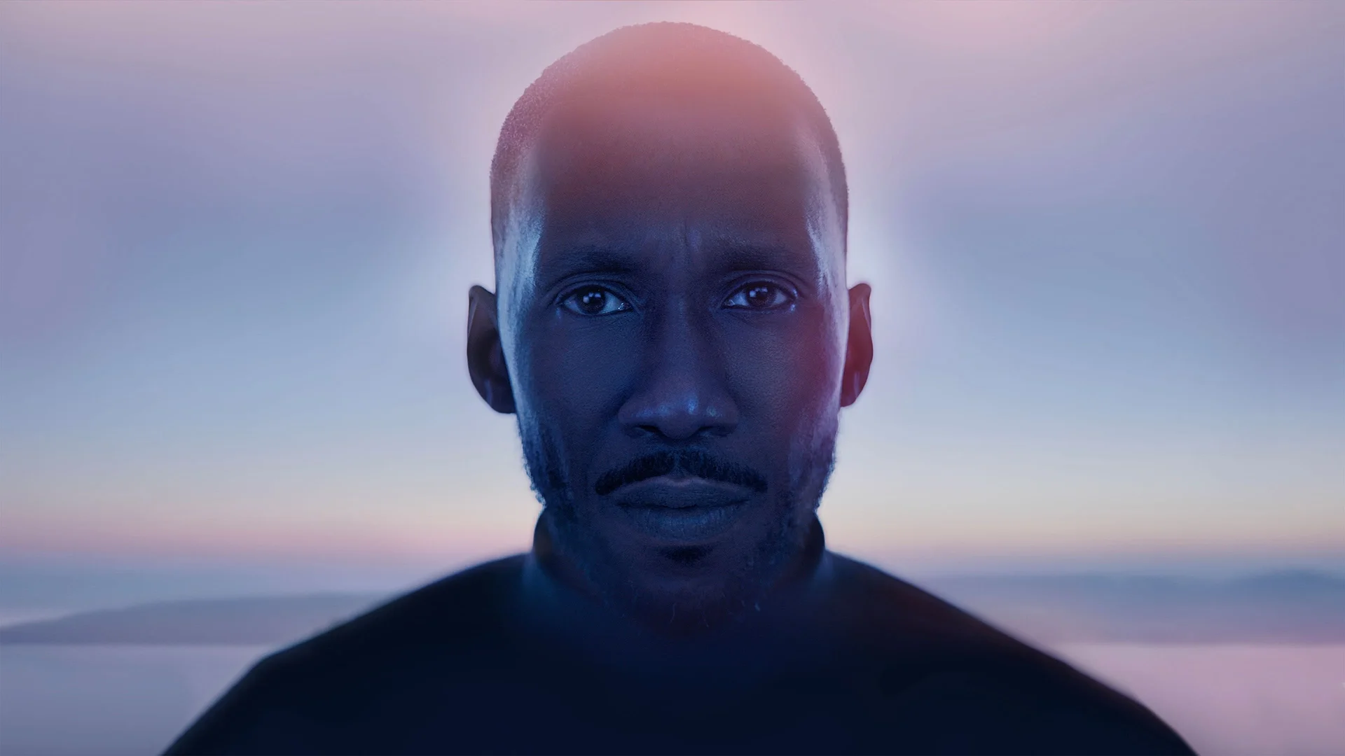 Backdrop de El canto del cisne