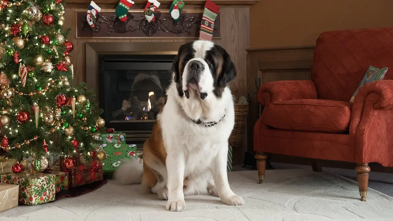 Beethoven: una aventura navideña