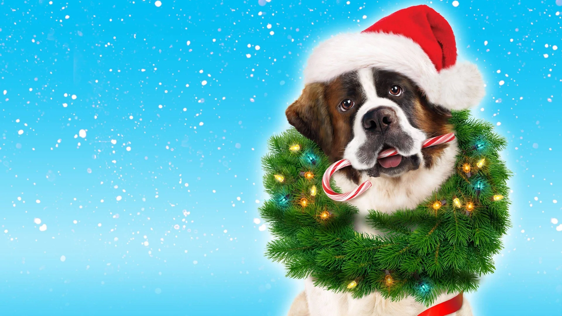 Backdrop de Beethoven: una aventura navideña