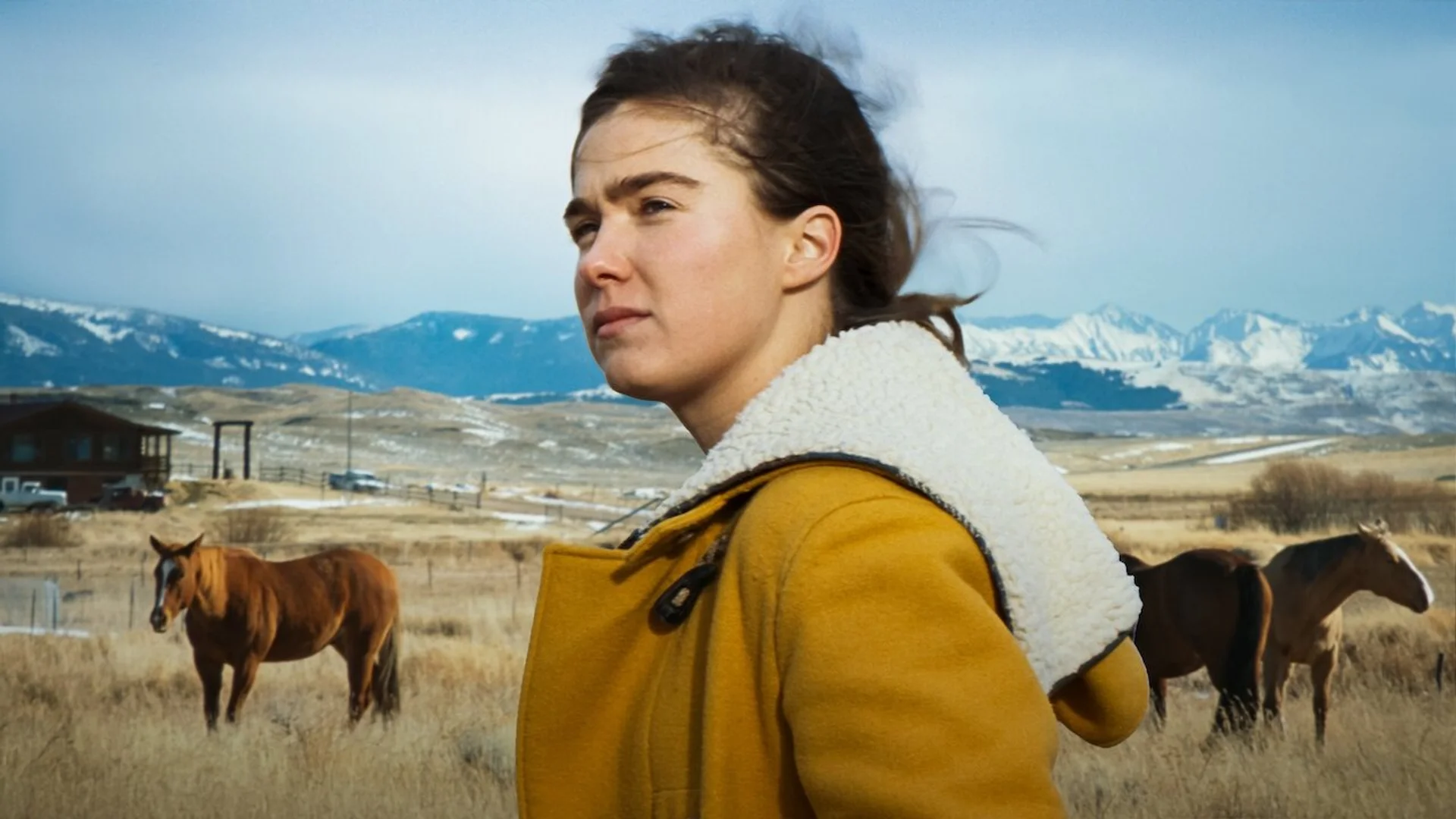 Backdrop de Montana Story