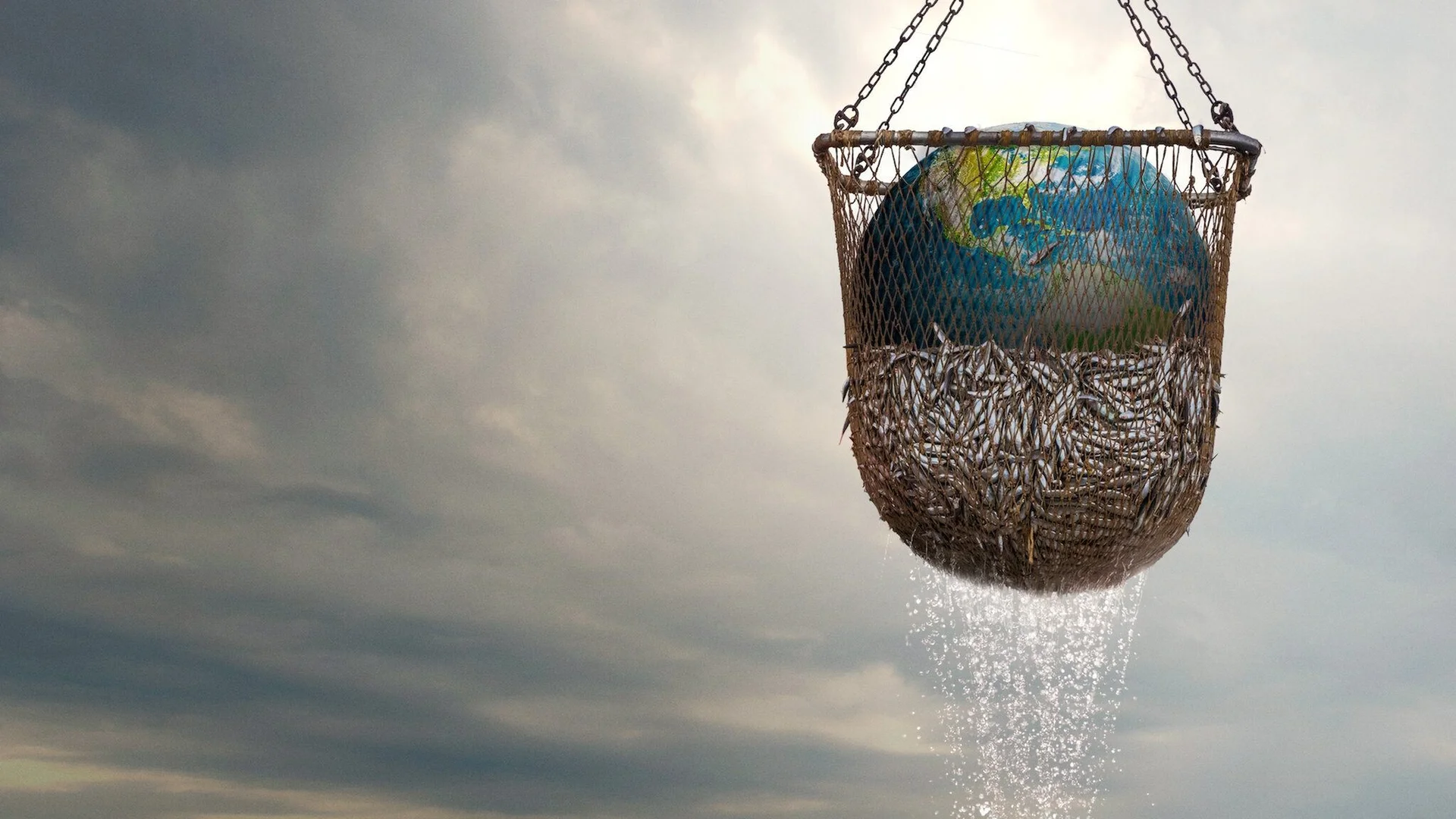 Backdrop de Seaspiracy