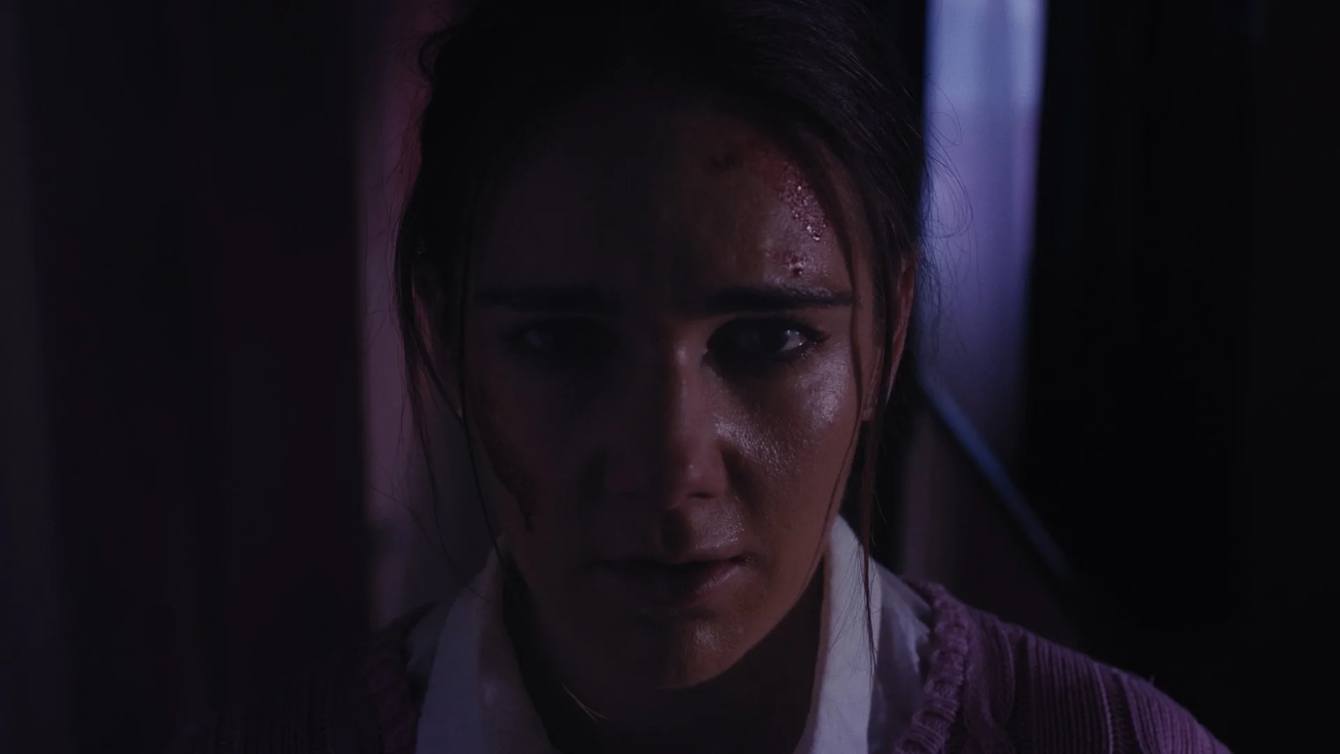 Backdrop de Zebra Girl