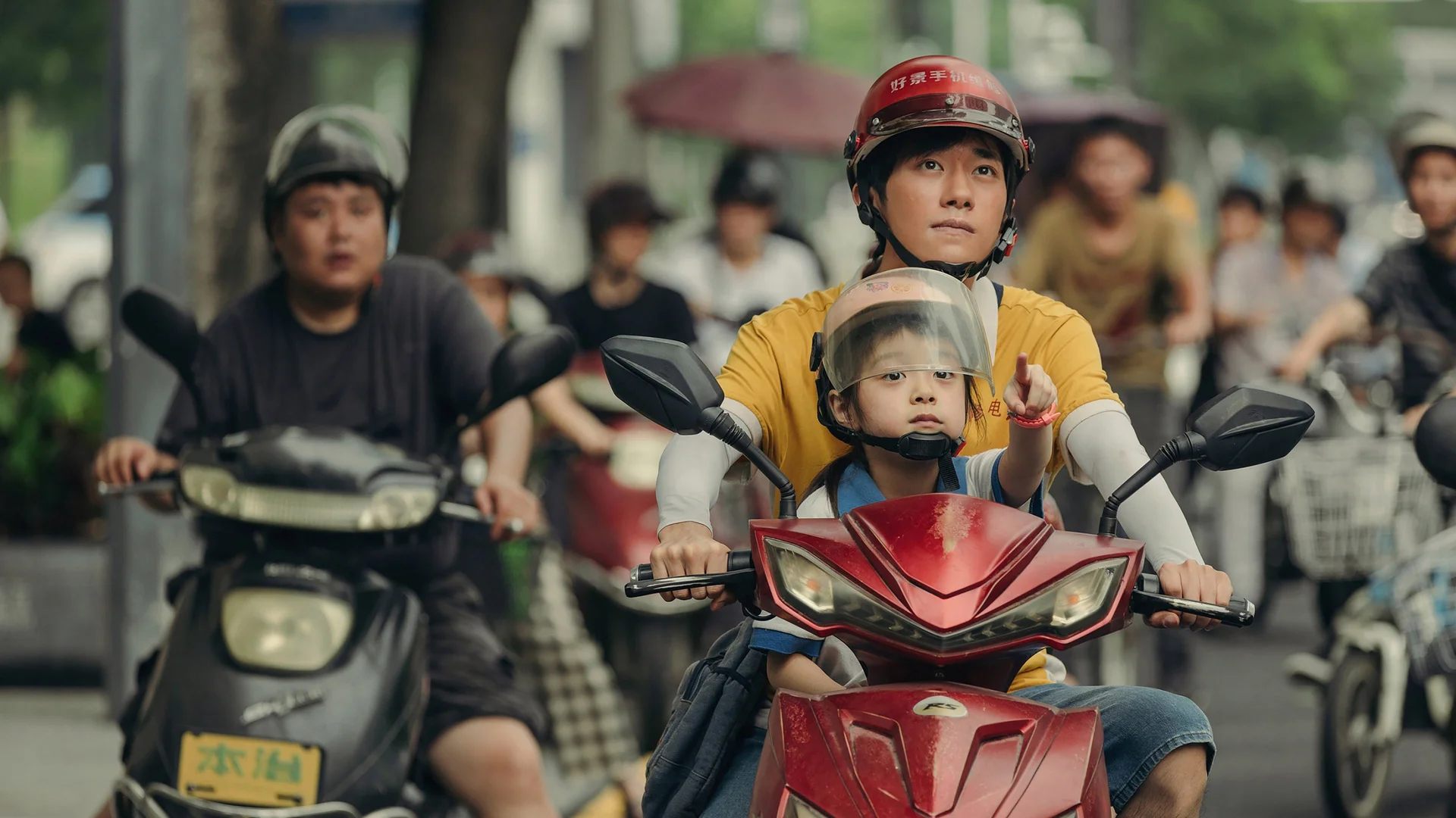 Backdrop de Nice View