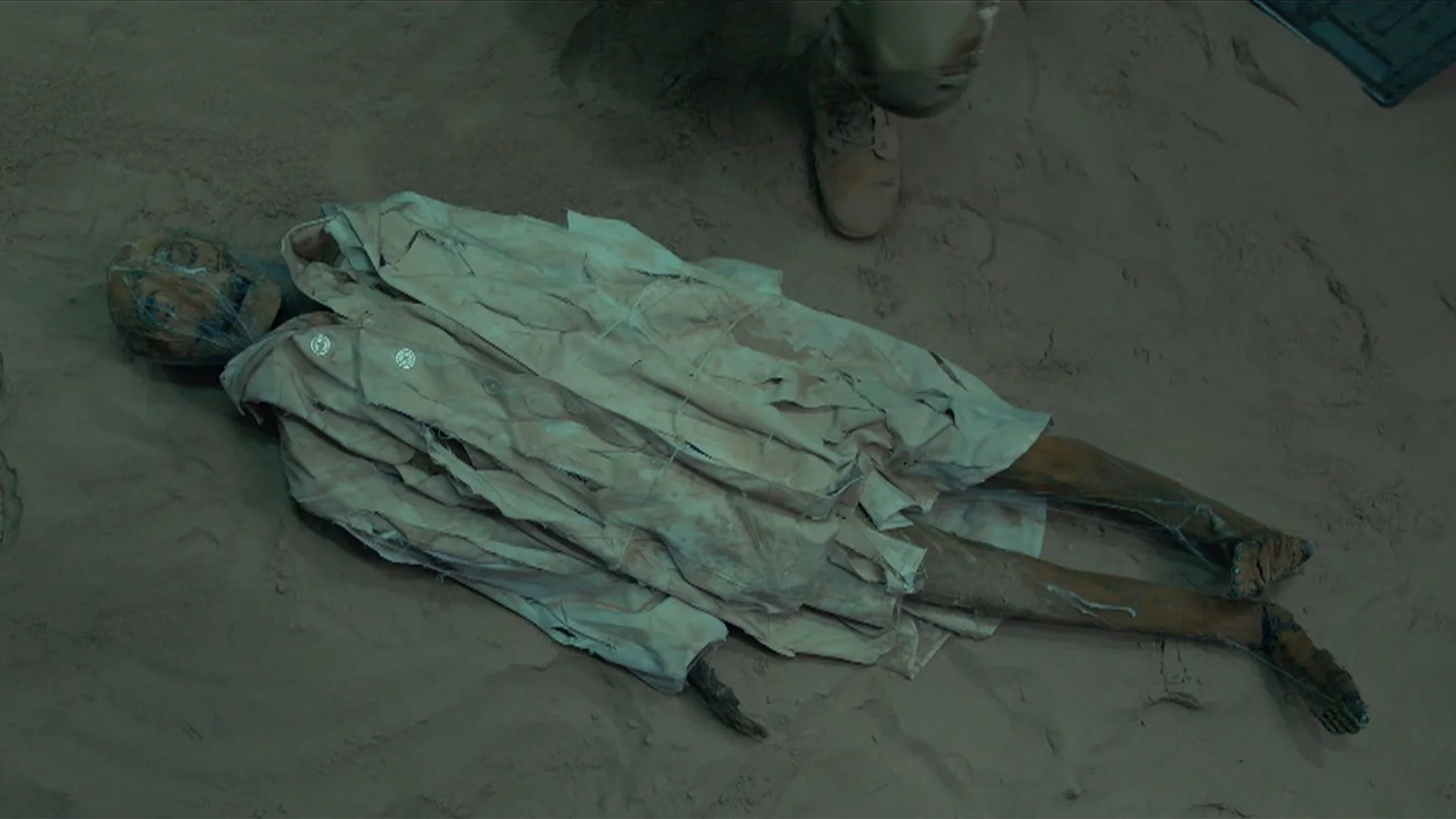 Backdrop de Arañas! Un Experimento Que Salio Mal