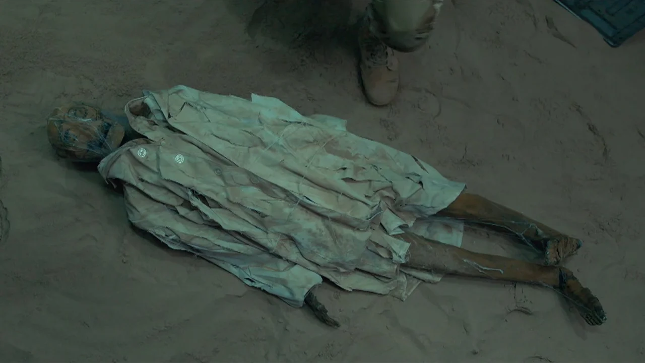 Arañas! Un Experimento Que Salio Mal