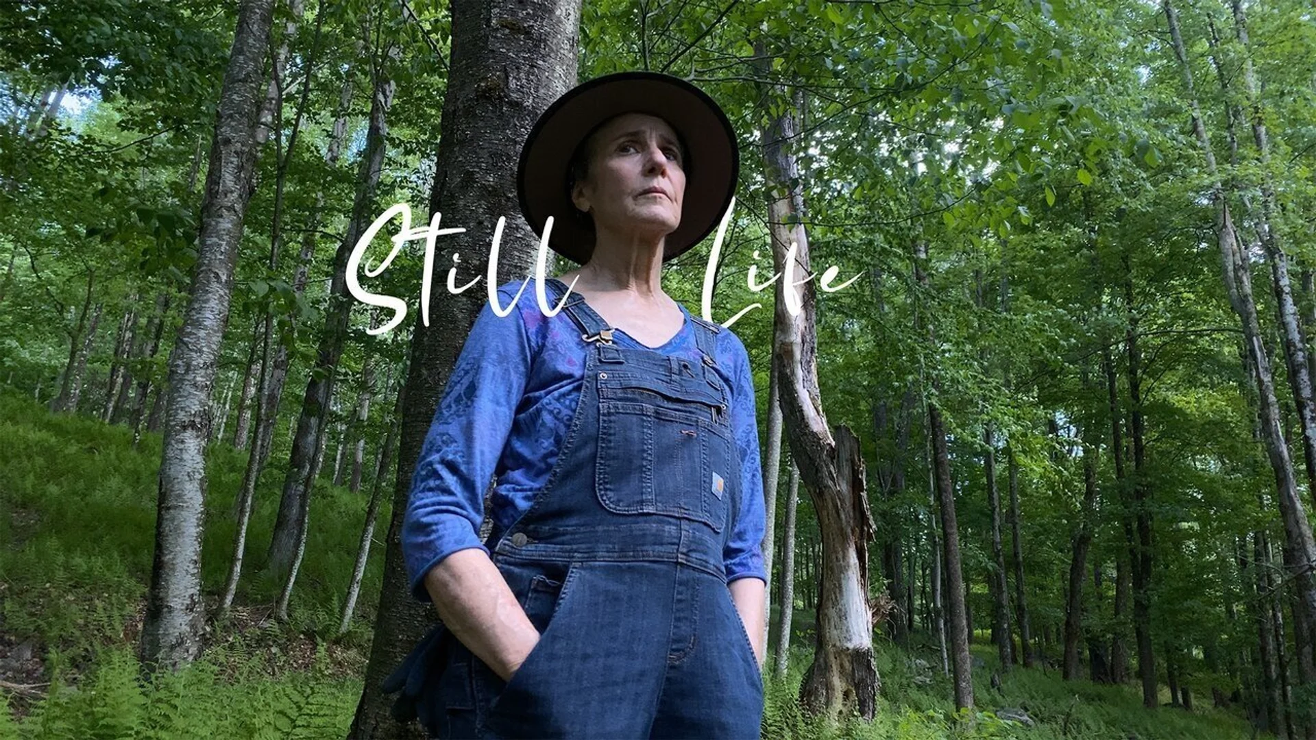 Backdrop de With/In Volume 2