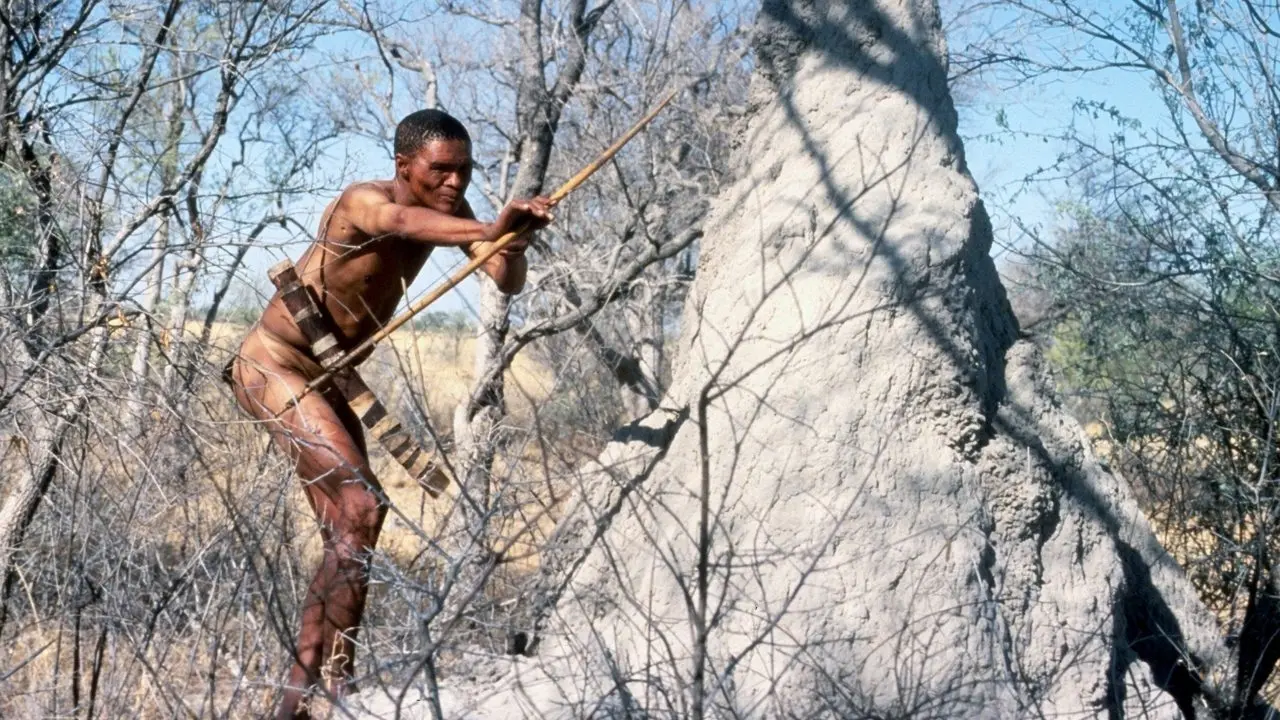 Los Dioses Deben Estar Locos