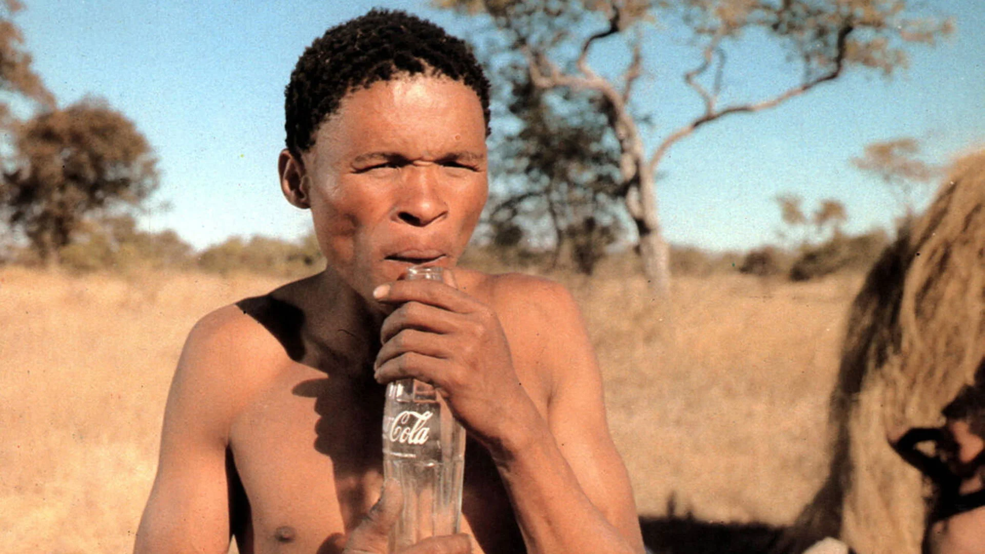 Backdrop de Los Dioses Deben Estar Locos