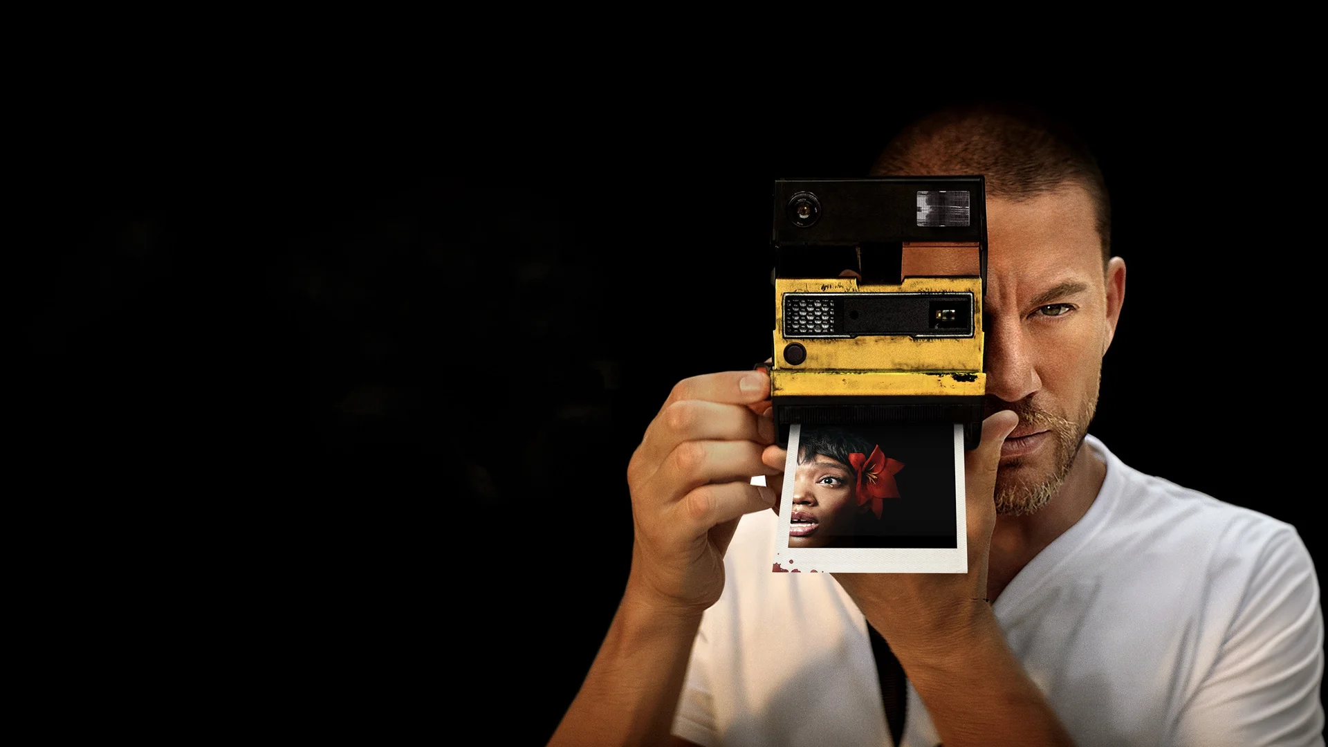 Backdrop de Parpadea dos veces