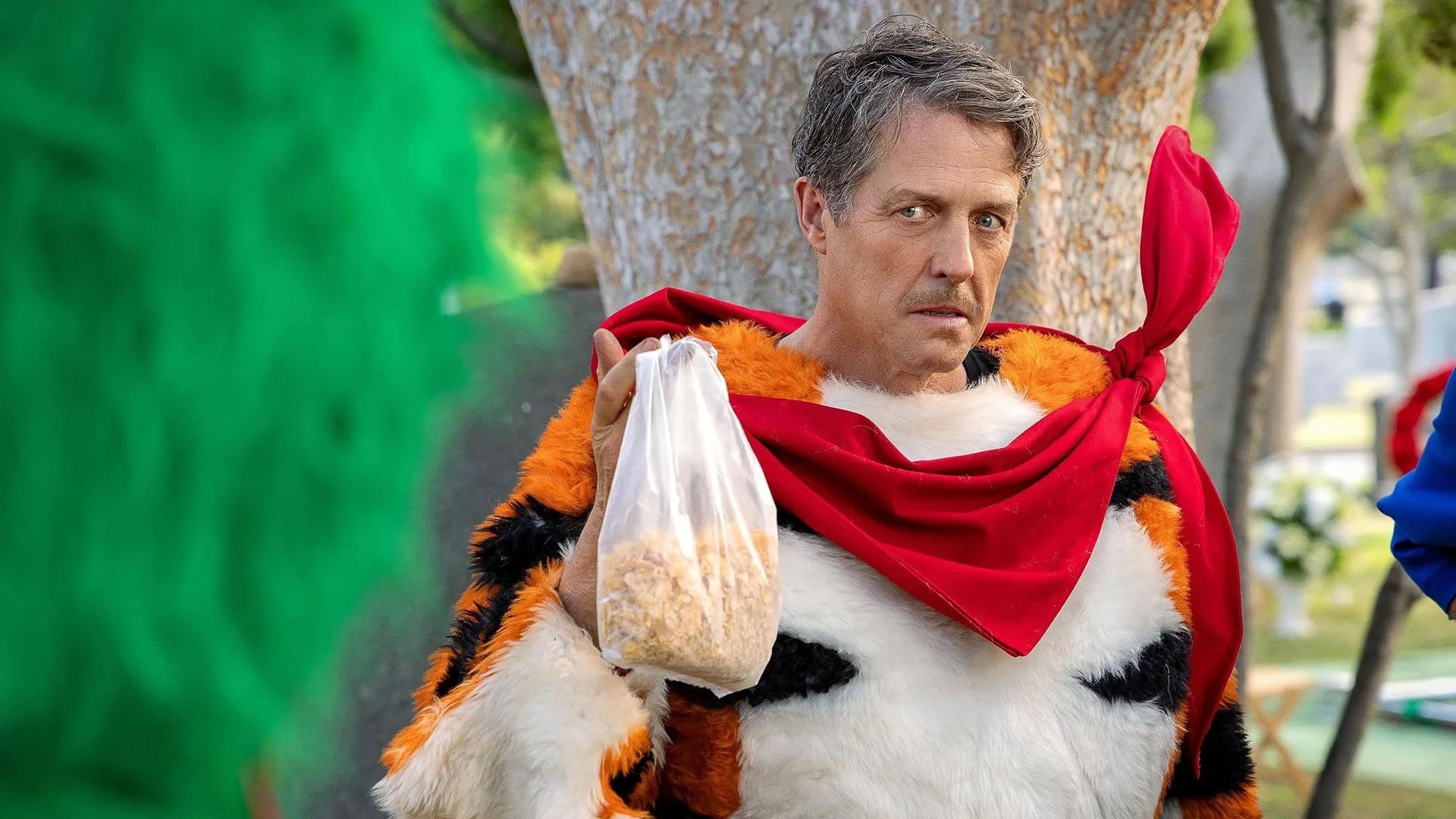 Backdrop de Sin Glasear