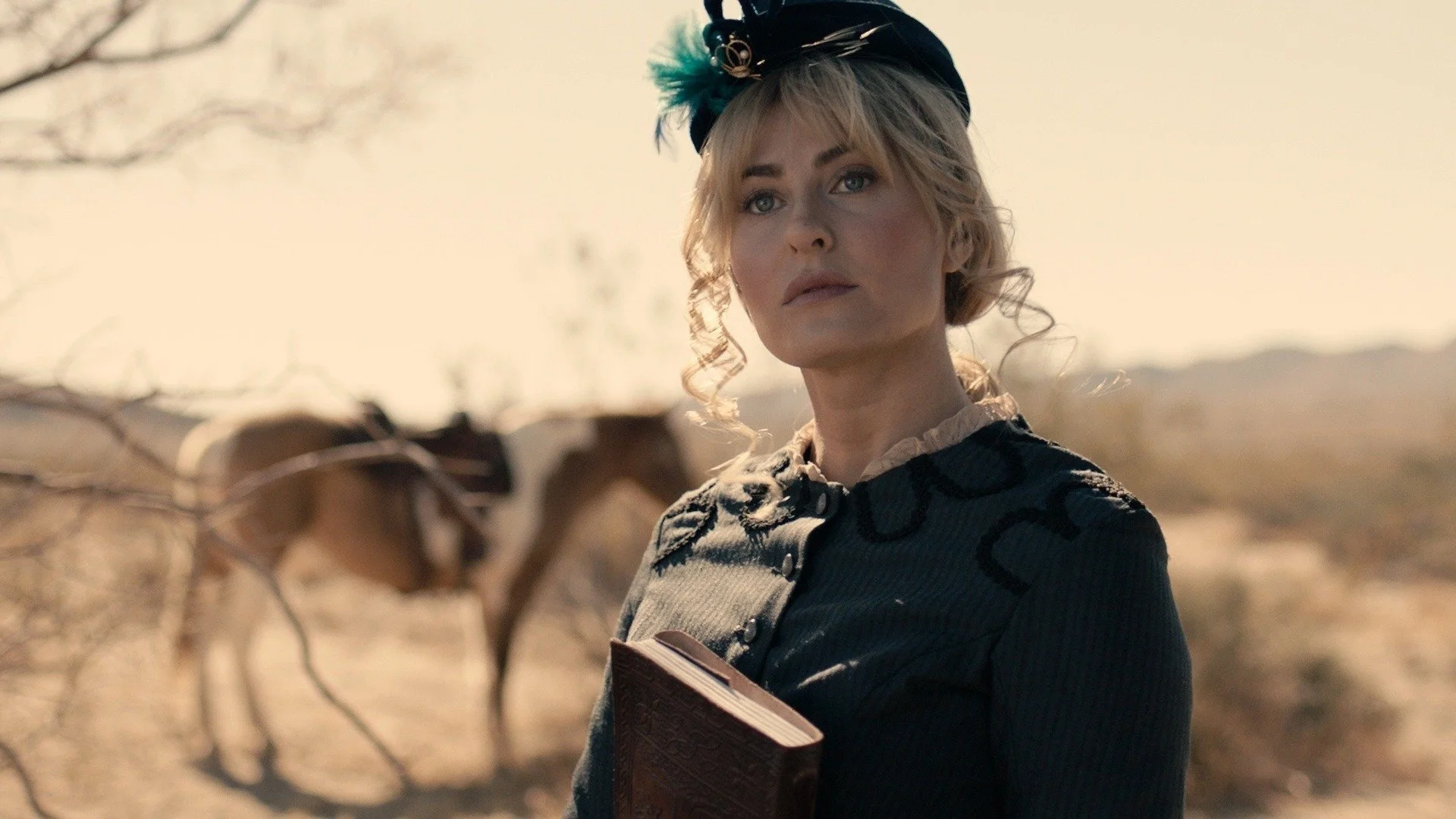 Backdrop de Apache Junction