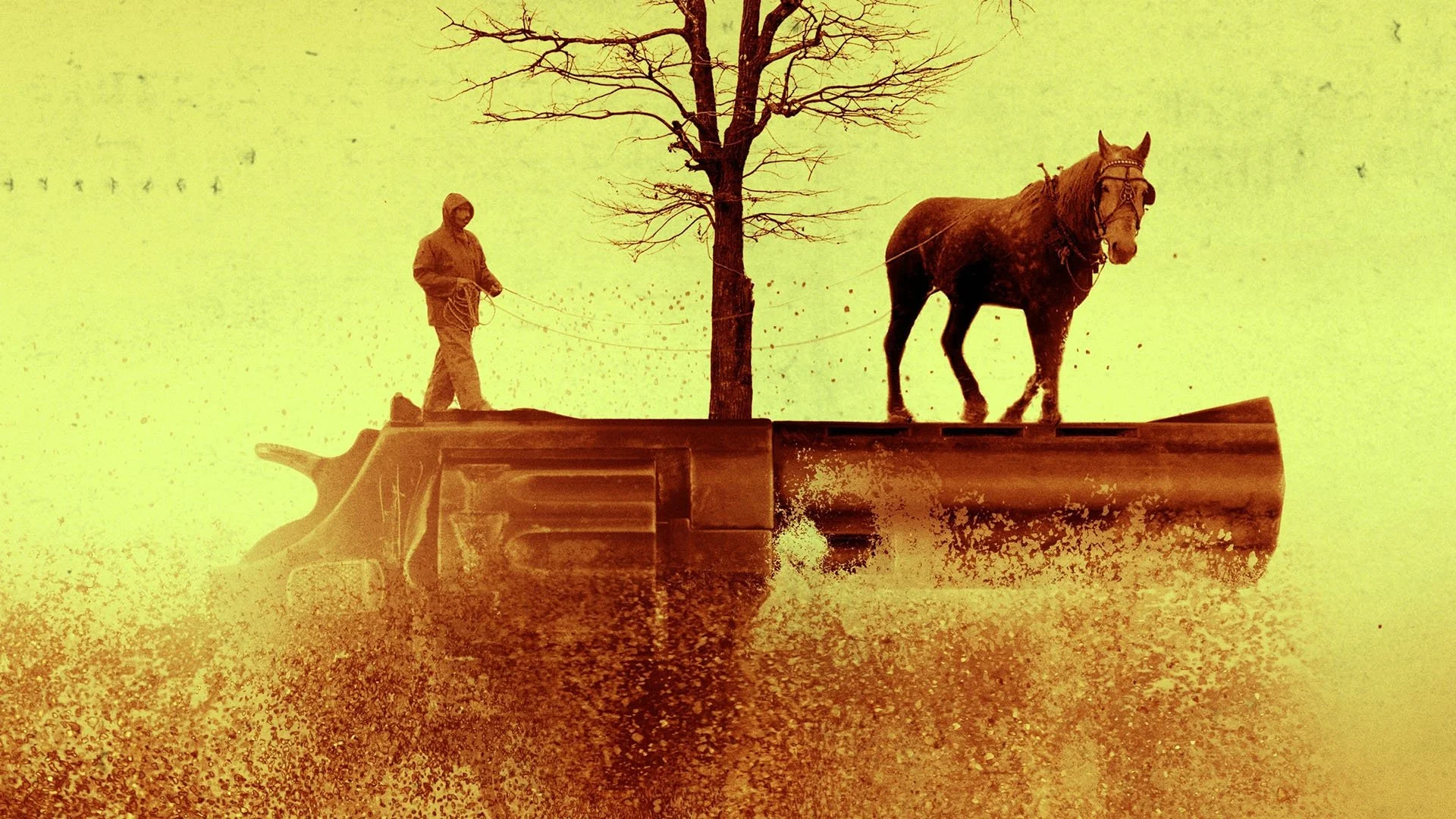 Backdrop de Conducta indebida