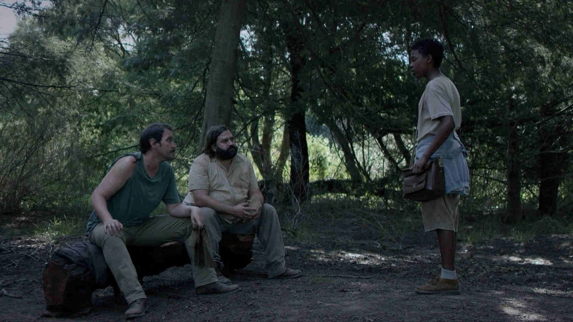 Backdrop de Mateína