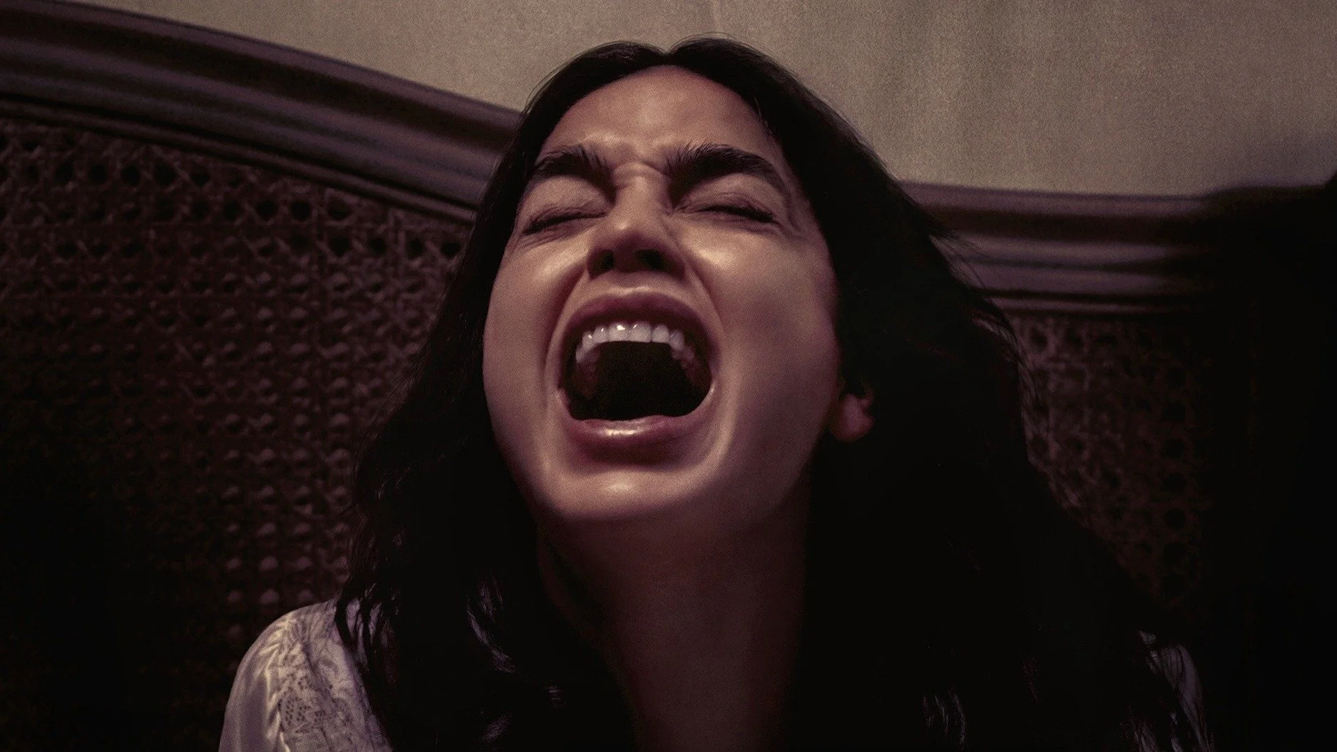 Backdrop de Reposo absoluto