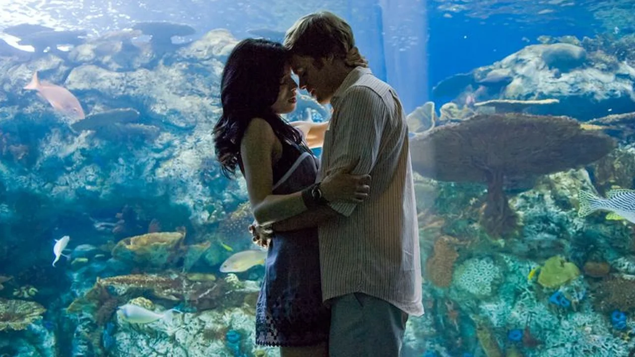 La Fierecilla Indomable