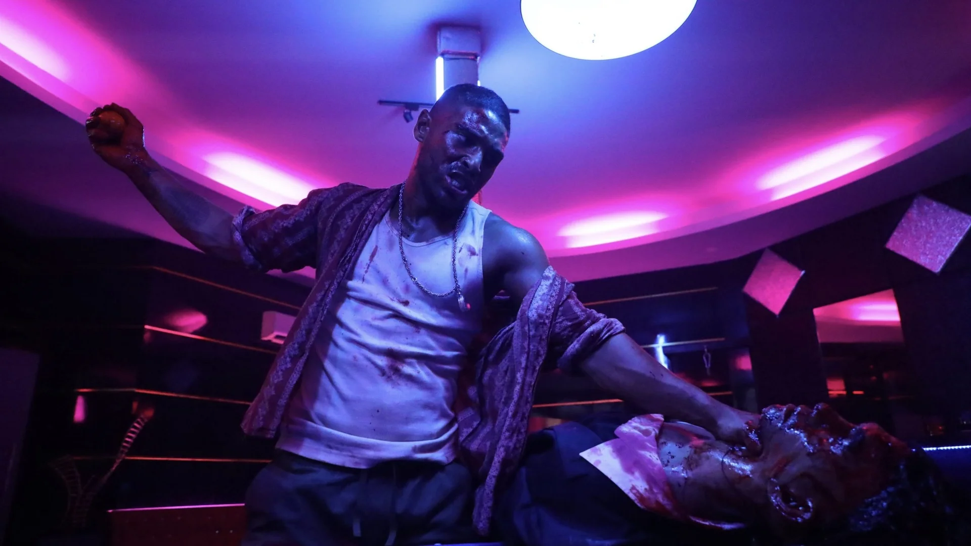 Backdrop de La Venganza del Dragón