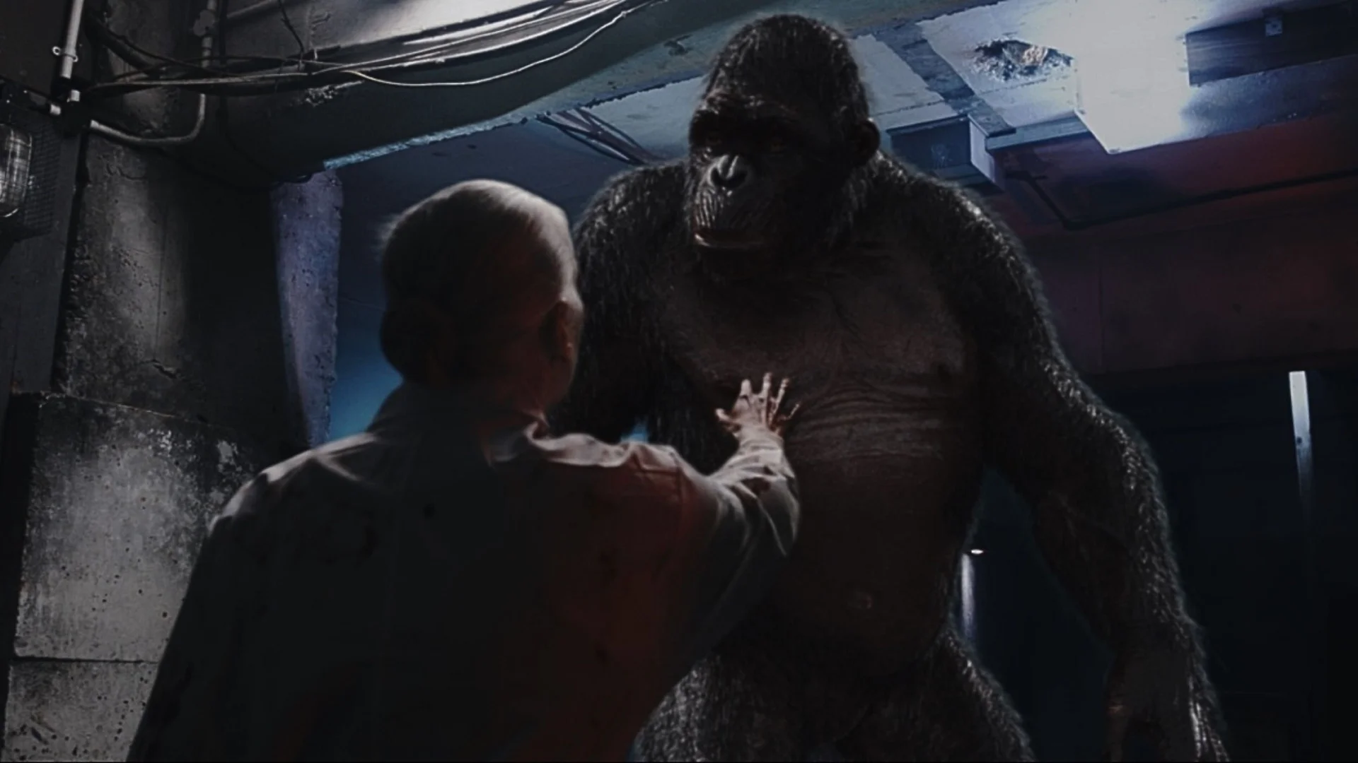 Backdrop de The Rise of the Beast