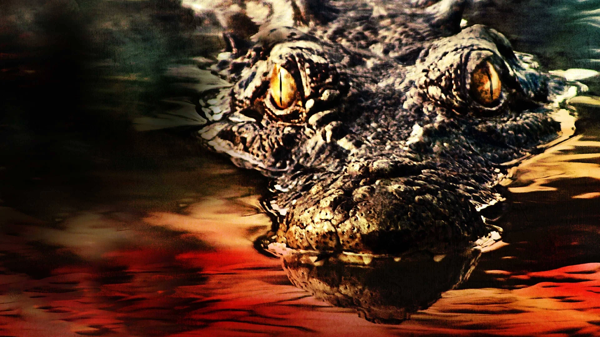 Backdrop de El cocodrilo