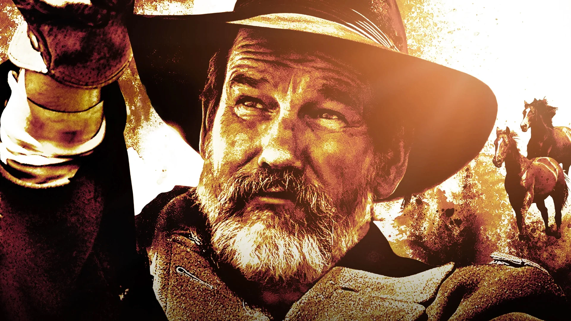 Backdrop de Blackwood