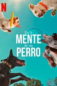 En la mente de un perro