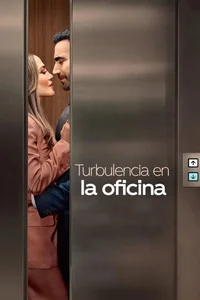 Poster de Turbulencia en la oficina