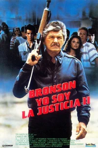 El vengador anónimo 4: El regreso del justiciero