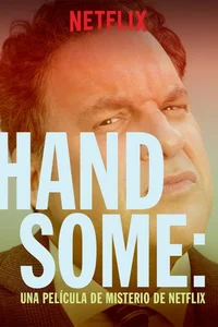 Handsome: A Netflix Mystery Movie