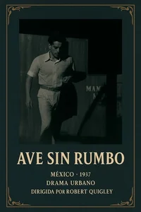 Ave sin rumbo
