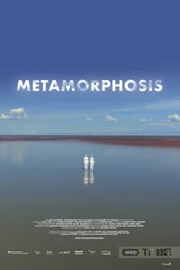 Metamorfosis