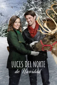 Northern Lights of Christmas