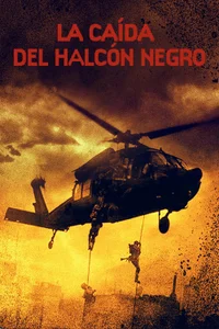 Poster de La caída del halcón negro