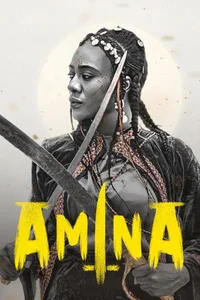 Poster de Amina