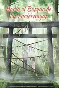 Hacia el Bosque de las Luciérnagas