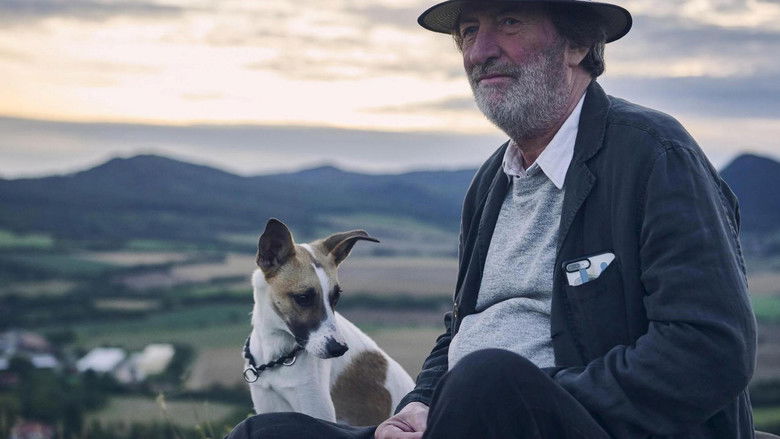 Backdrop de Gump: Una lección de vida