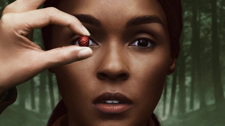 Backdrop de Homecoming