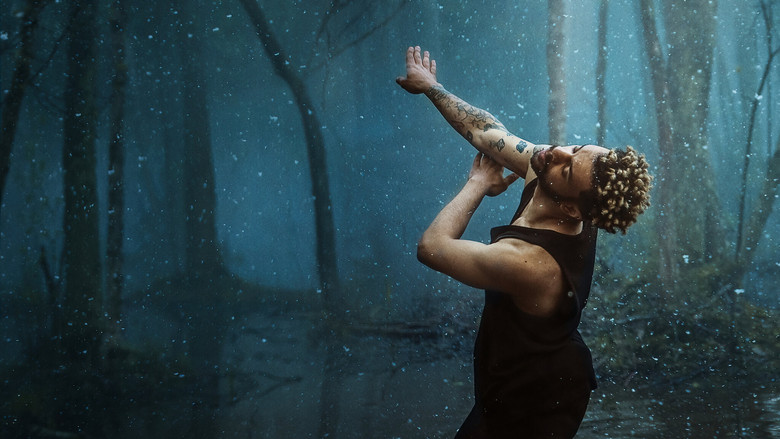 Backdrop de Dance Brothers