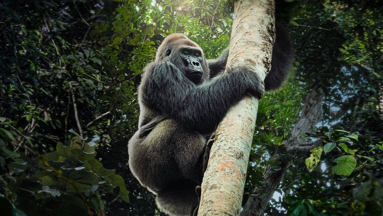 Backdrop de Criaturas gigantes