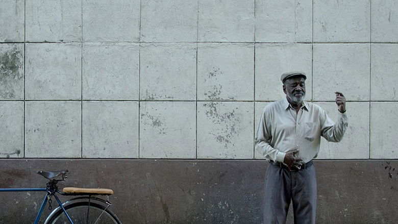 Backdrop de Candelaria