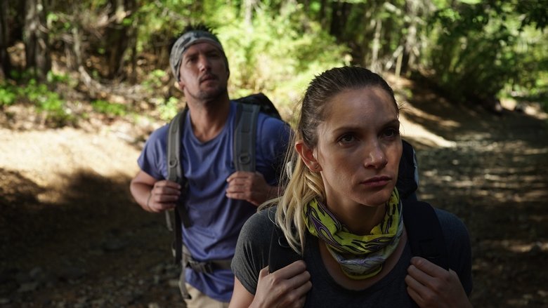 Backdrop de Embrión