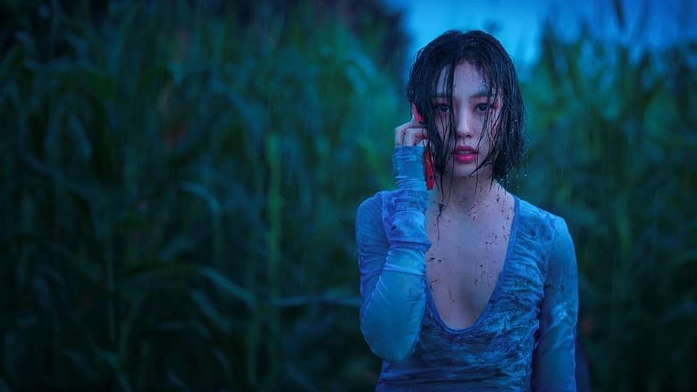 Backdrop de Nadie en el bosque